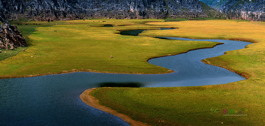 DSC_9015 ����.jpg