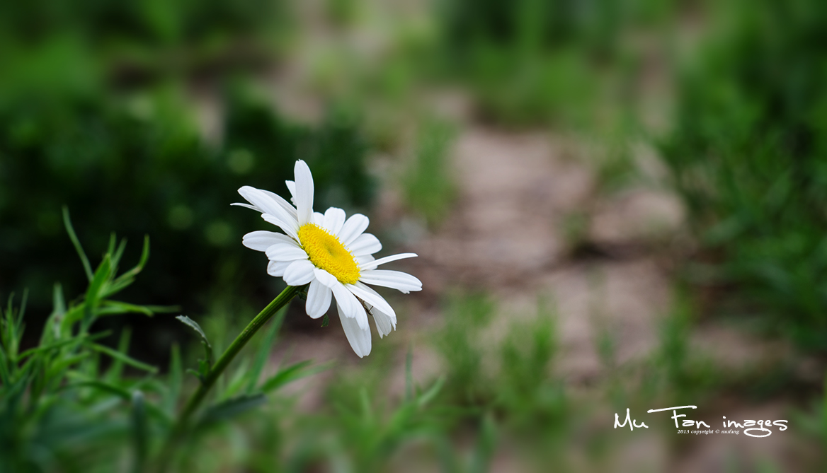 ����ϵ��