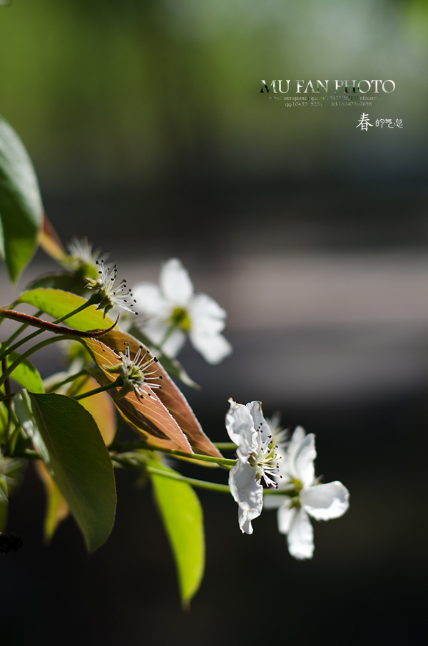 ����ϵ��