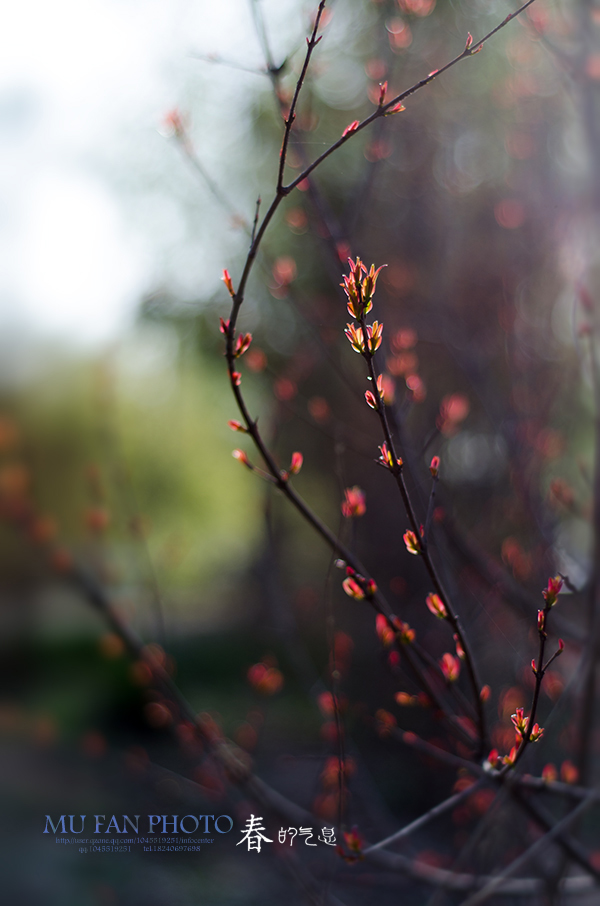 ����ϵ��