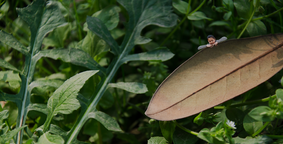 ������Ӱ