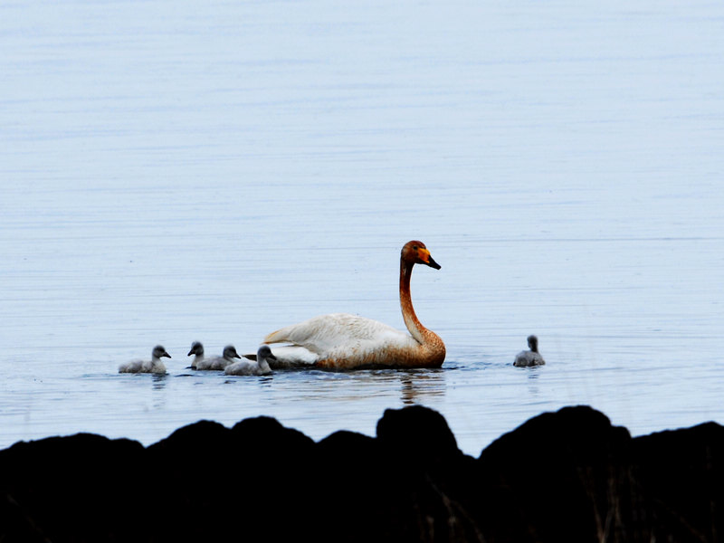 DSC_0053.jpg