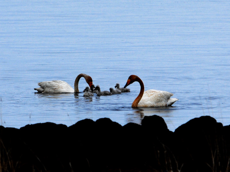 DSC_0064.jpg
