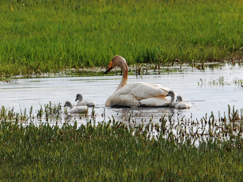 DSC_0202.jpg