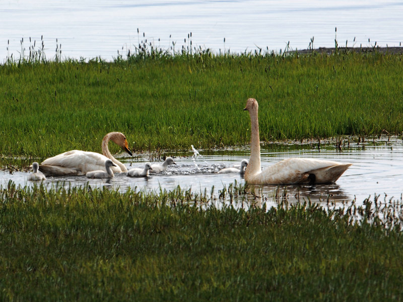 DSC_0216.jpg