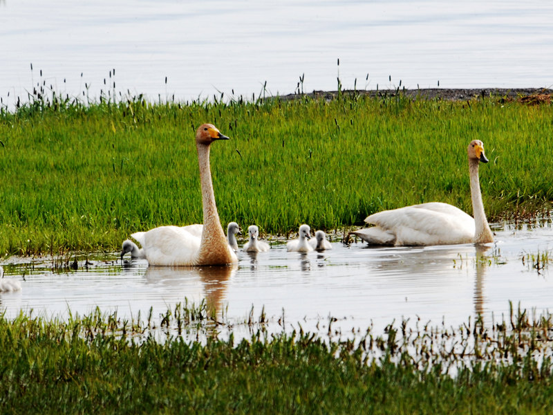 DSC_0236.jpg