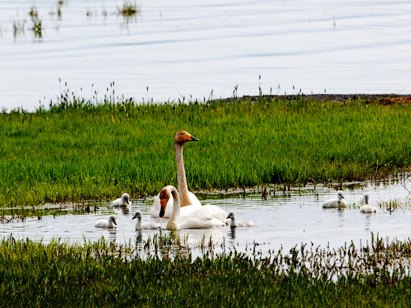 DSC_0241.jpg