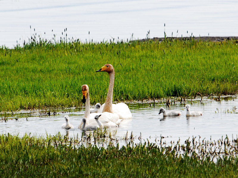 DSC_0244.jpg