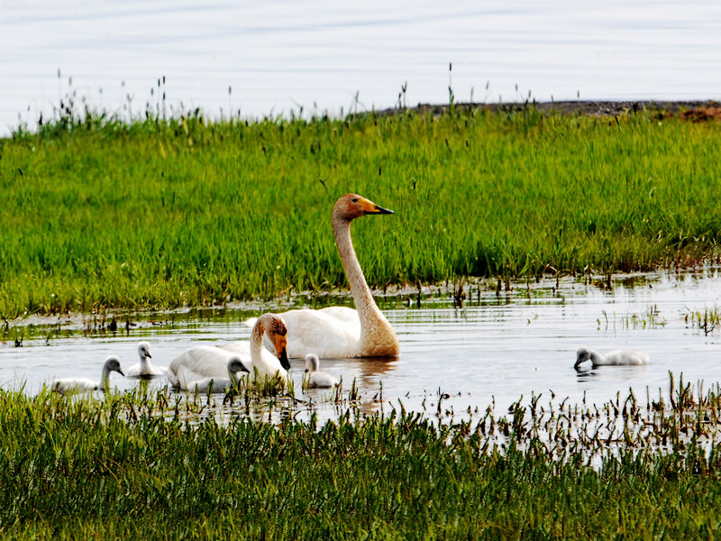 DSC_0248.jpg