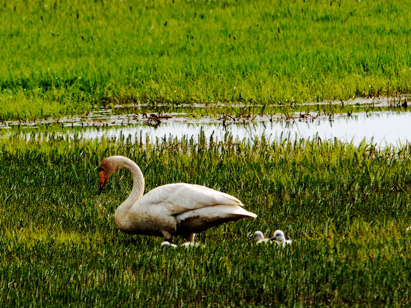 DSC_0288.jpg