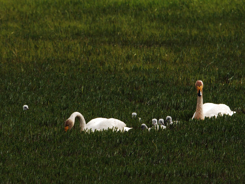 DSC_0320.jpg