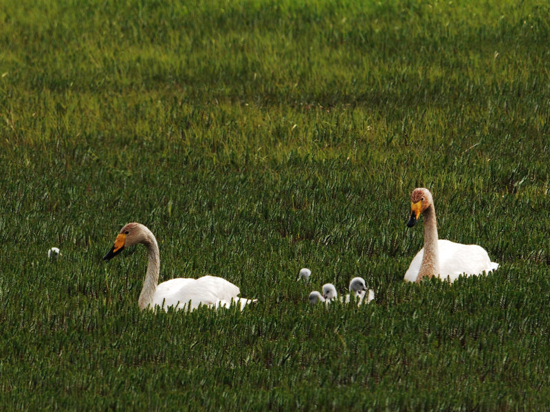 DSC_0321.jpg