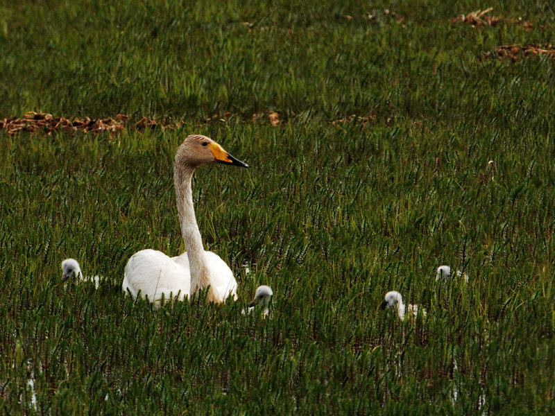 DSC_0348.jpg
