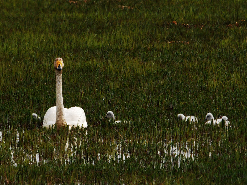 DSC_0354.jpg