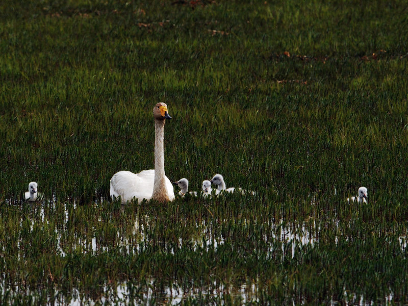 DSC_0357.jpg