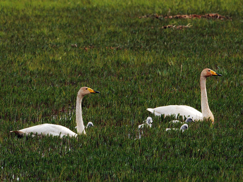 DSC_0373.jpg