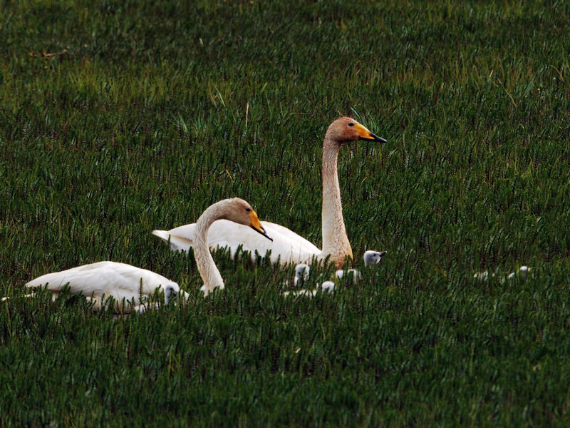 DSC_0376.jpg