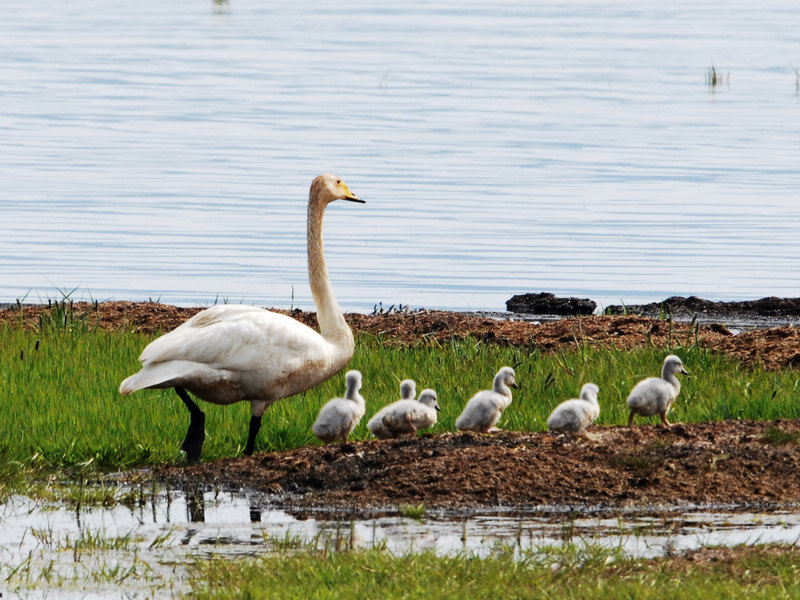 DSC_0605.jpg
