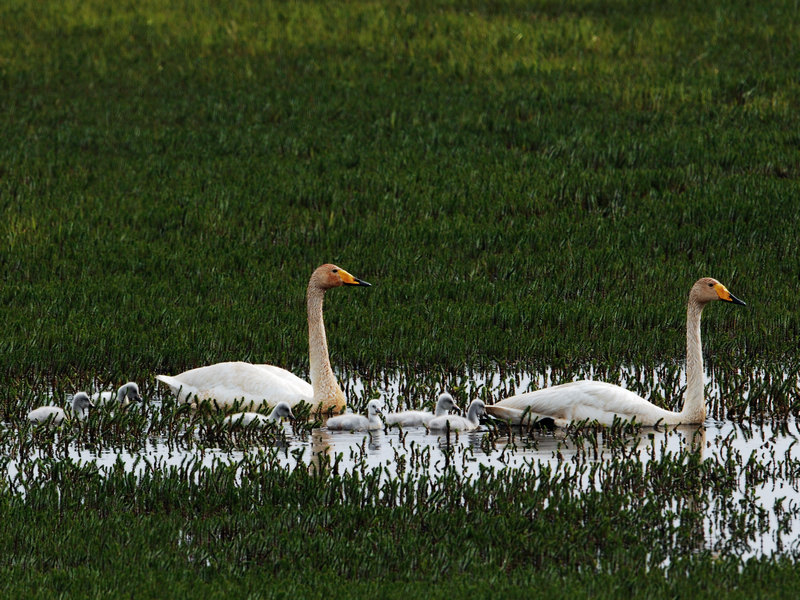 DSC_0398.jpg