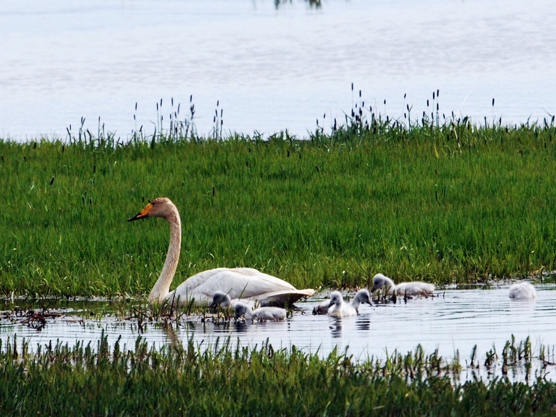 DSC_0541.jpg