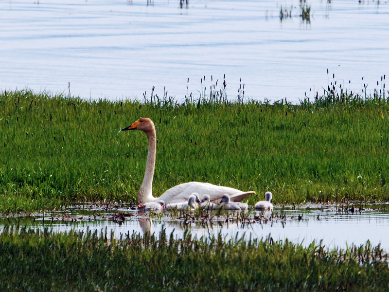 DSC_0566.jpg