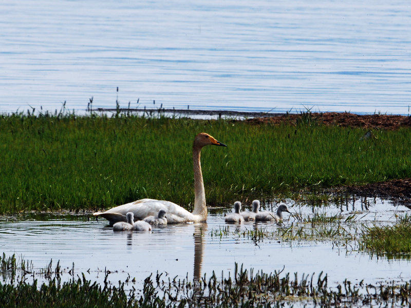 DSC_0594.jpg