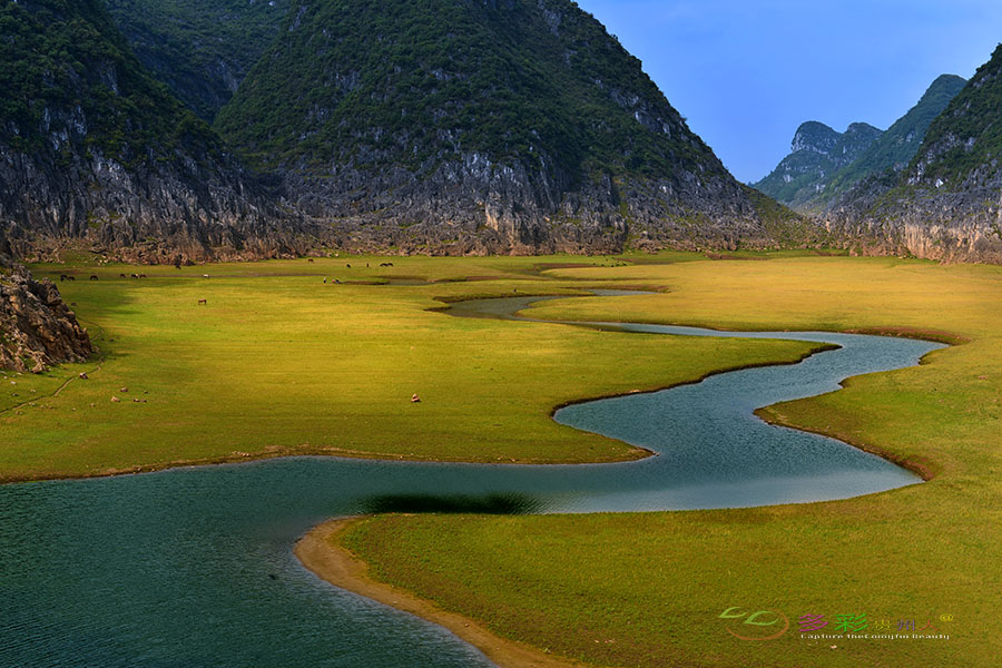 DSC_9016 ����.jpg