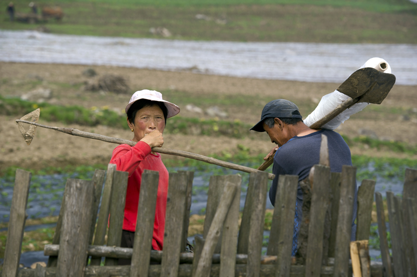  �����ͷ����������������ź�����һ�����Ͷ�ǿ�ȡ�