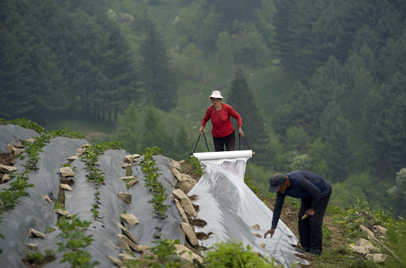 ���������ק����ʮ���ص����ϱ�Ĥ���ʻ��硣