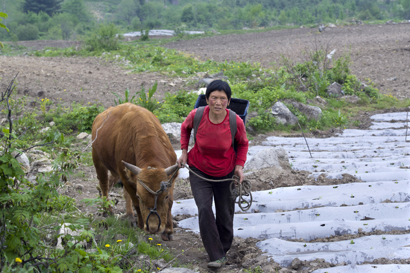  ��ţ������ϻ�ţ�ǡ���������ĺð��֡�