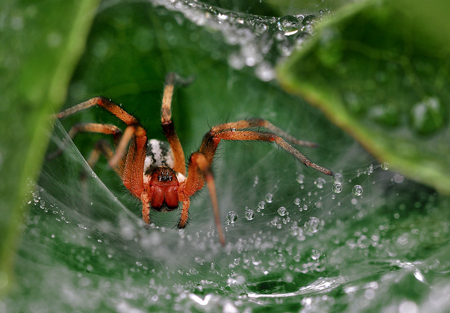 DSC_0158 ����.jpg