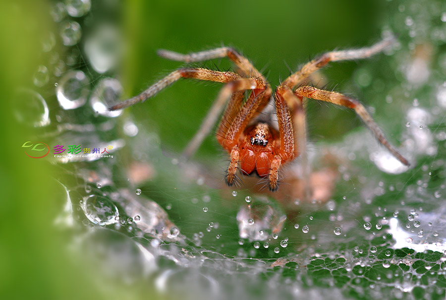 DSC_0152 ����.jpg