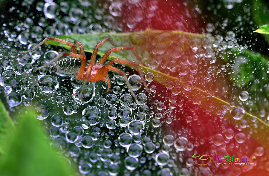 DSC_0167 ����.jpg