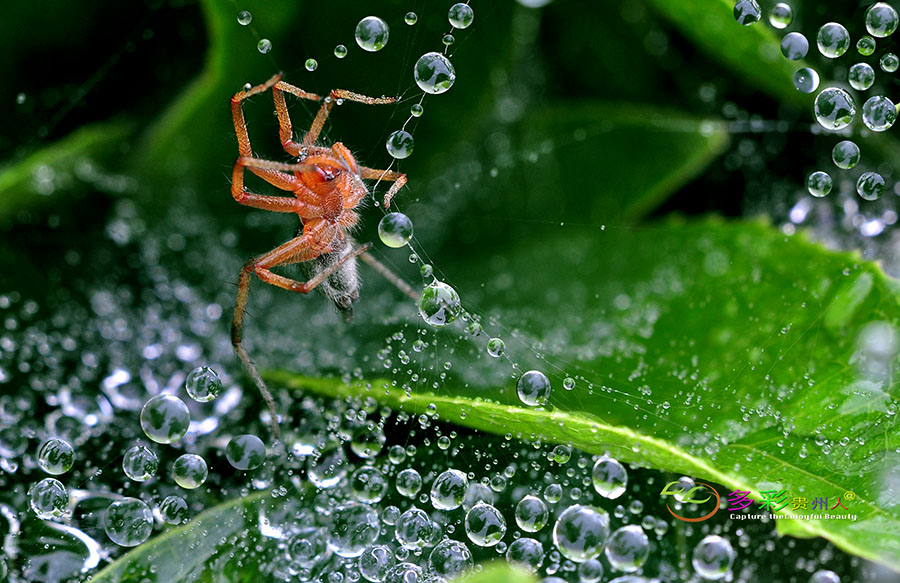 DSC_0166 ����.jpg