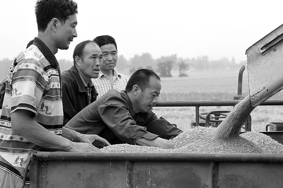 ������Ƭ 123_����.jpg