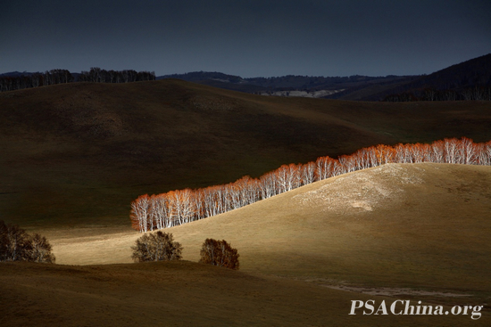 Gold PSA medal-��ѧ����Ʒ����ɽ�¡�Hillside.jpg