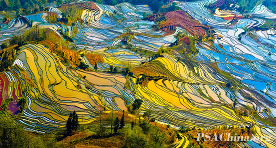 �������Ʒ������ص�ɫ�塷color palette.jpg