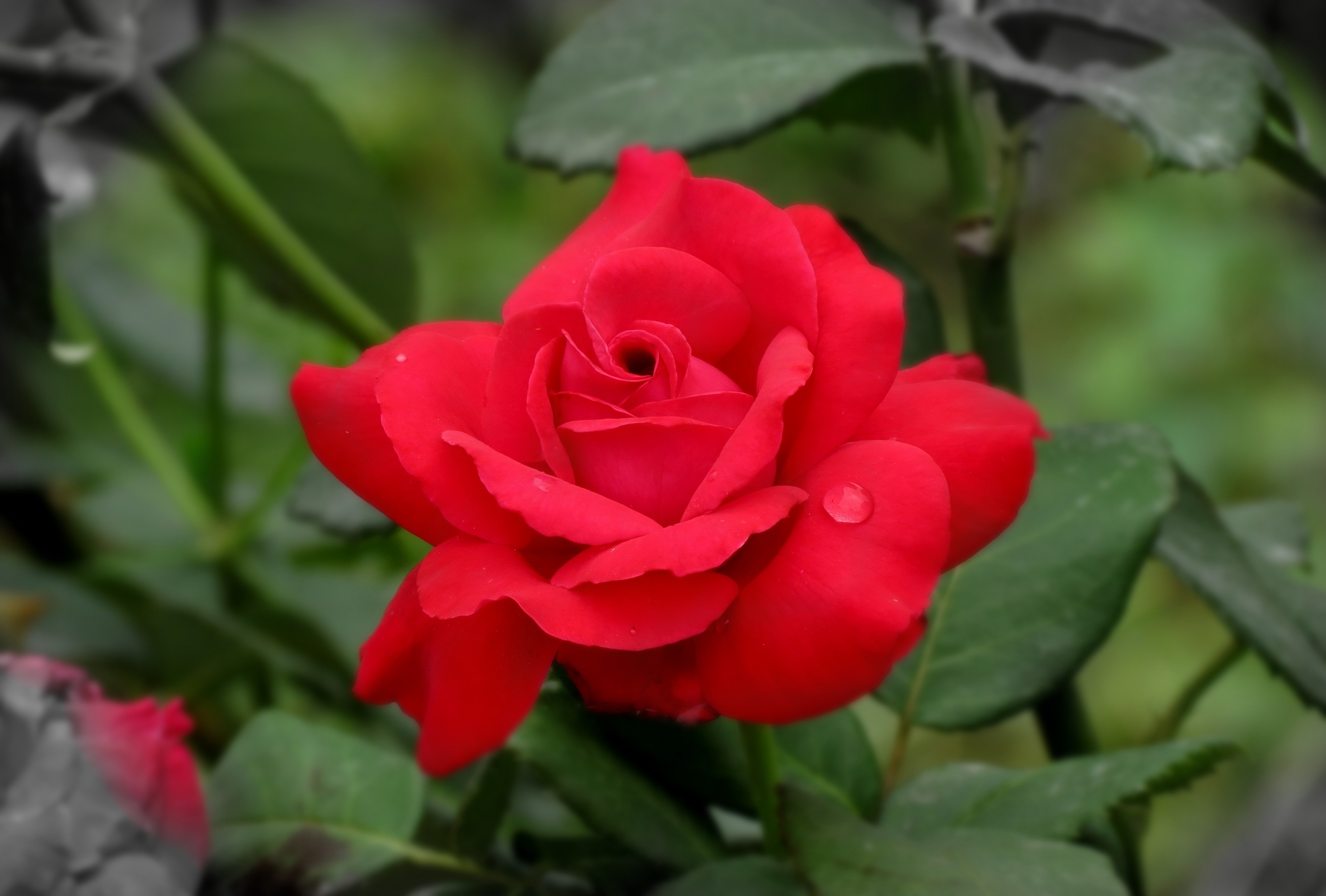 �Ҹ�������