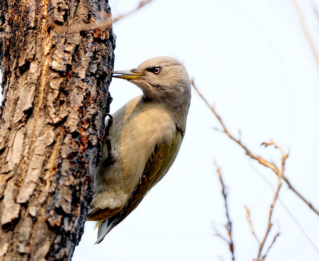 DSC_0295.jpg