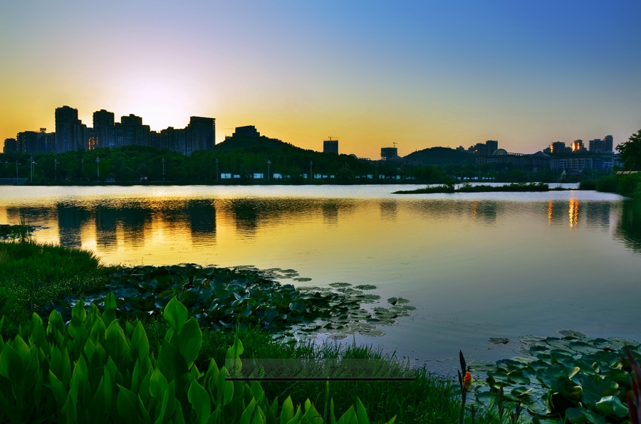 _DSC0934 ��������.jpg