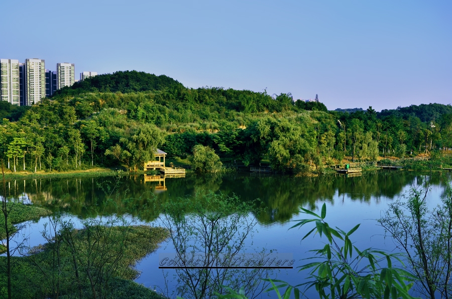 _DSC0871 ��������.jpg