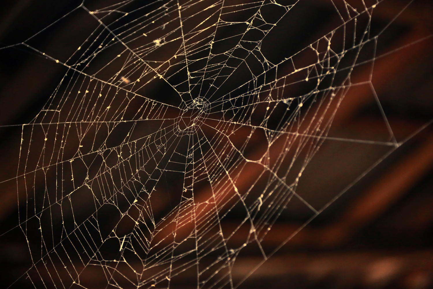 ��Ȧ��Ŵ��� 159.jpg