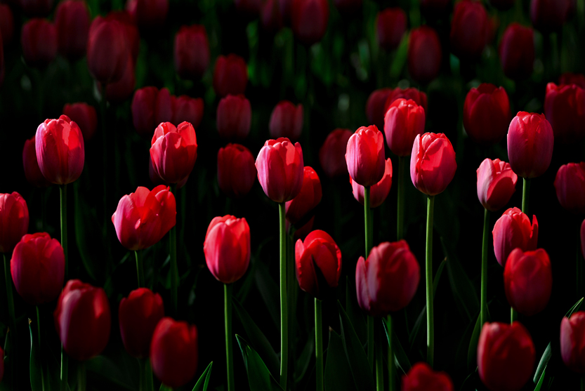 _LFA2674 �� ��  ����ΰ �� ����.jpg