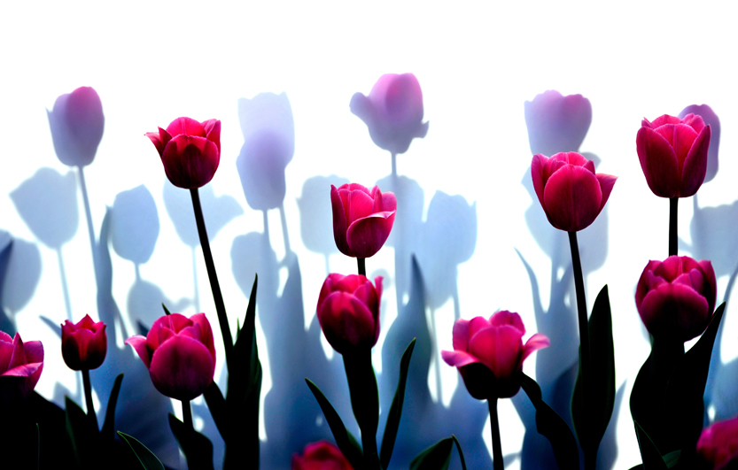 _LFA3586 ����.jpg