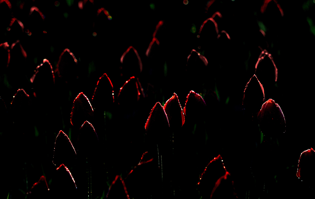 _LFA3305 �������� ����ΰ �� ����.jpg