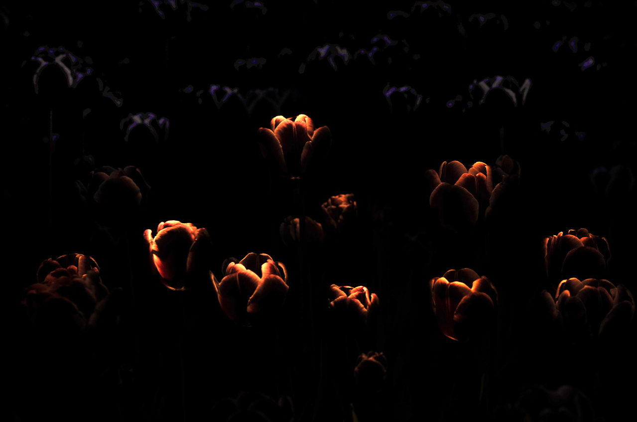 _LFA4702 ����.jpg