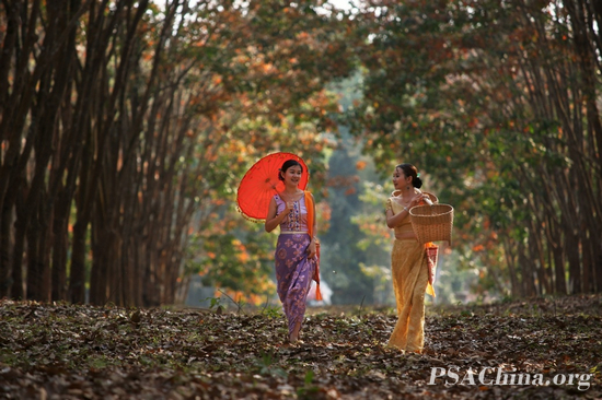 14.��������Ʒ�������ɷ��顷 Banna style.jpg