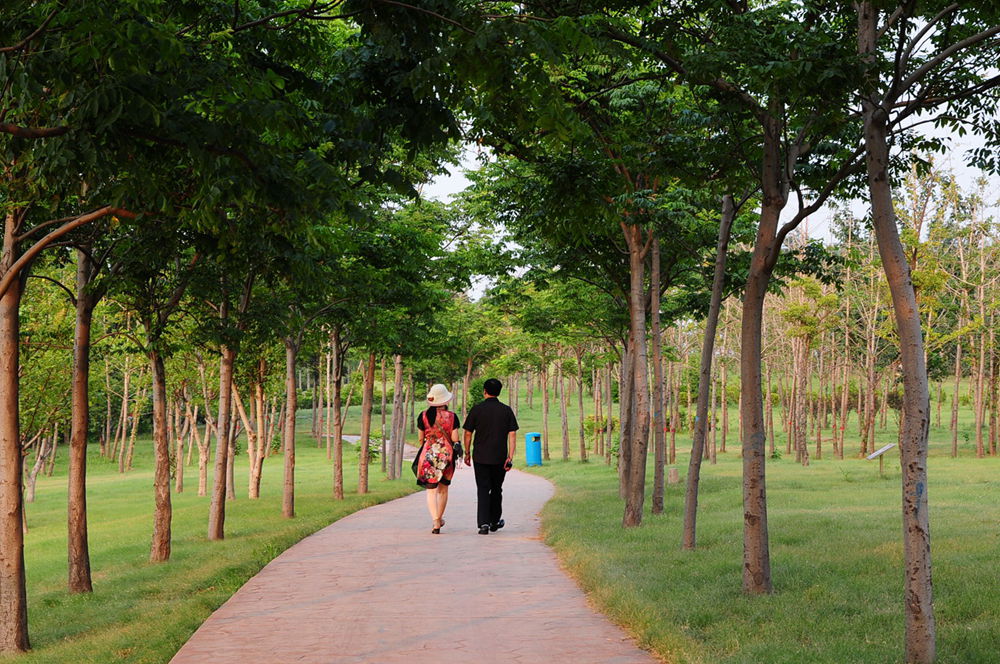 ����ͨ��