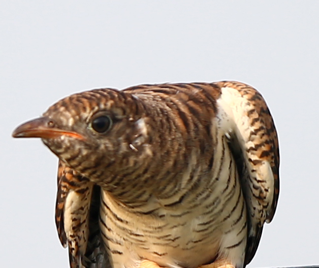 H46R3415.jpg