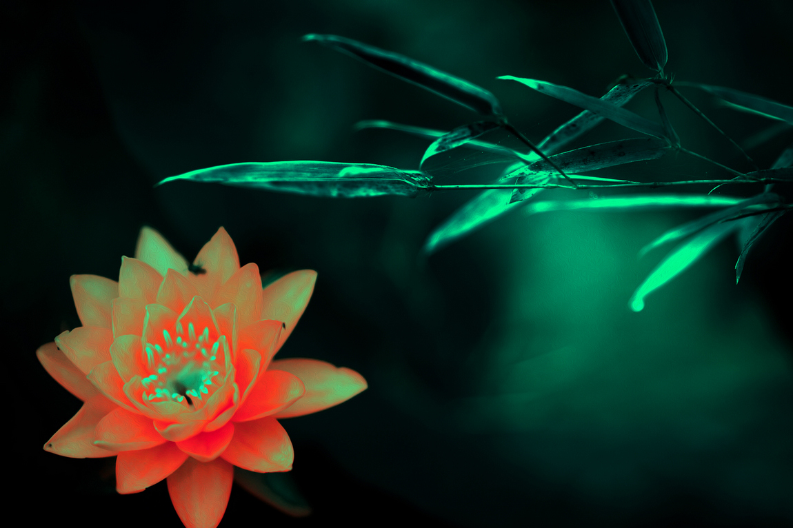 �й���� (1).jpg